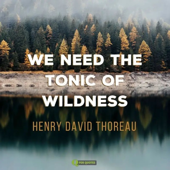 We need the tonic of wildness