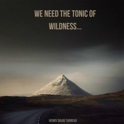 We need the tonic of wildness