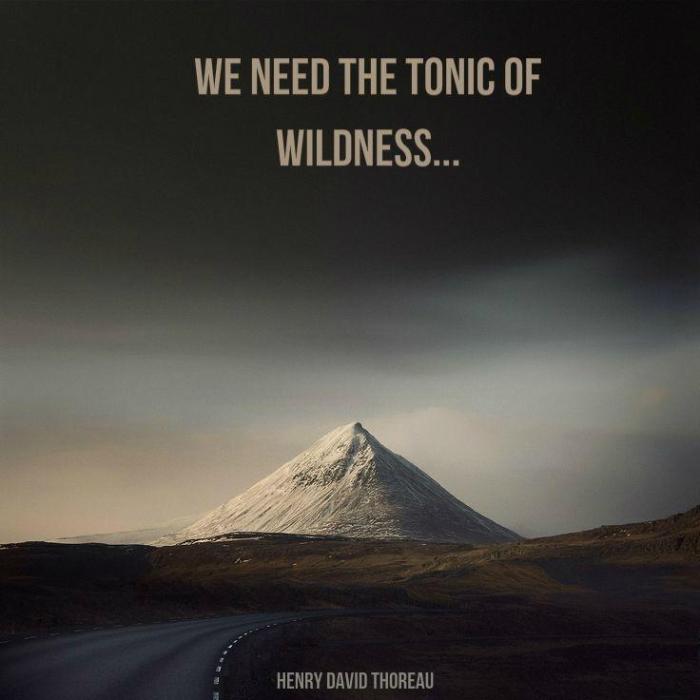 We need the tonic of wildness