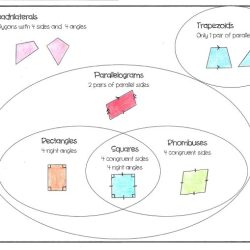 Worksheet trapezoid polygons quadrilaterals trapezoids kites geometry homework studylib anwser honors